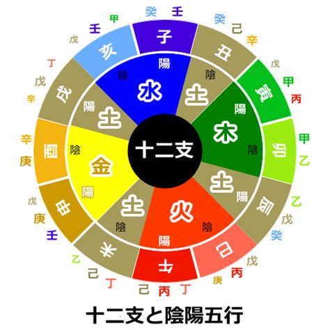 陰陽五行 生年月日|陰陽五行占い｜五行属性で占う「あなたの性格・運勢 